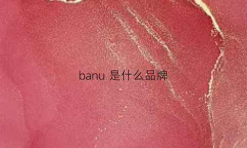 banu是什么品牌(banu是哪个国家牌子鞋子)